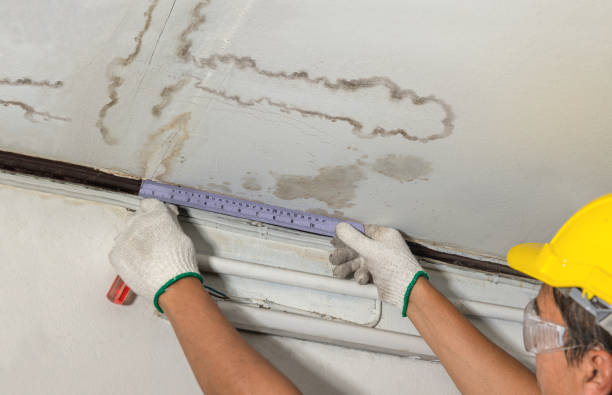 24/7 Emergency Structural Drying experts in Gregory, MI