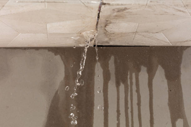 Professional Structural Drying technician working in Gregory, MI